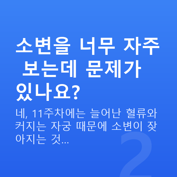 임신 11주차 증상 소변을 너무 자주 보는데 문제가 있나요?