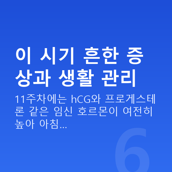 임신 11주차 증상 이 시기 흔한 증상과 생활 관리