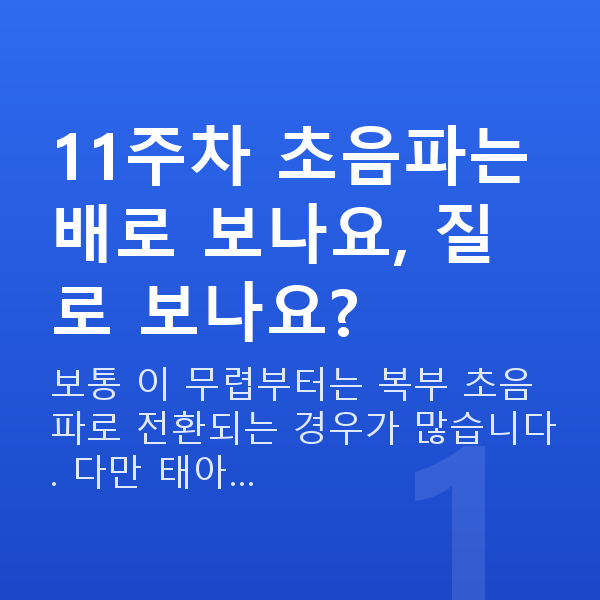 임신 11주차 초음파 11주차 초음파는 배로 보나요, 질로 보나요?