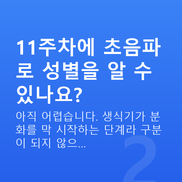 임신 11주차 초음파 11주차에 초음파로 성별을 알 수 있나요?