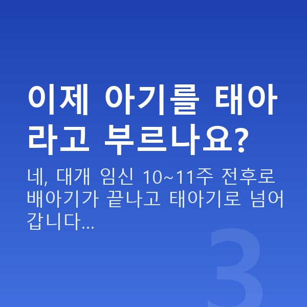 임신 11주차 태아 크기 이제 아기를 태아라고 부르나요?