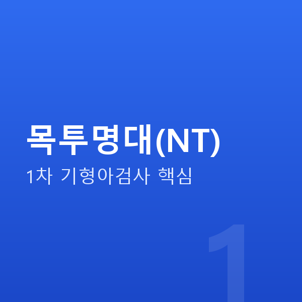 임신 12주차 목투명대(NT)