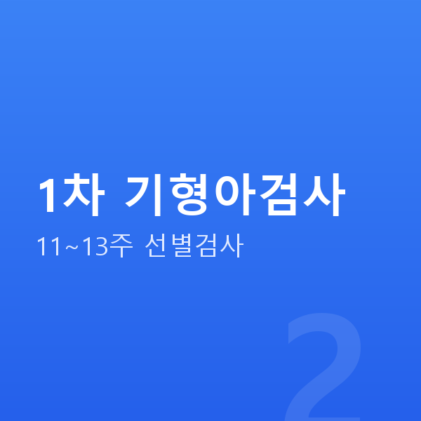 임신 12주차 1차 기형아검사