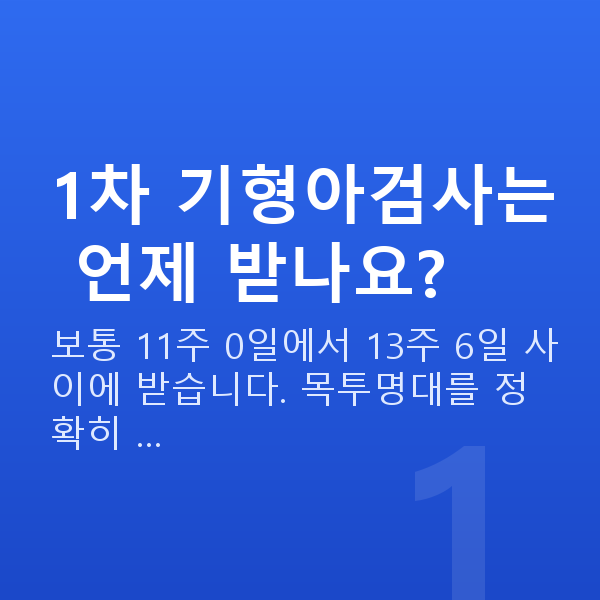 임신 12주차 기형아검사 1차 기형아검사는 언제 받나요?