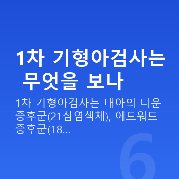 임신 12주차 기형아검사 1차 기형아검사는 무엇을 보나