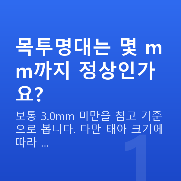 임신 12주차 목투명대 목투명대는 몇 mm까지 정상인가요?