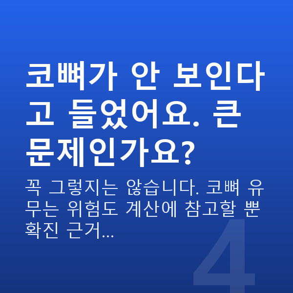임신 12주차 목투명대 코뼈가 안 보인다고 들었어요. 큰 문제인가요?