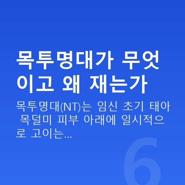 임신 12주차 목투명대 목투명대가 무엇이고 왜 재는가