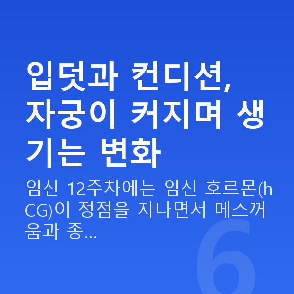 임신 12주차 증상 입덧과 컨디션, 자궁이 커지며 생기는 변화