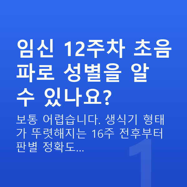 임신 12주차 초음파 임신 12주차 초음파로 성별을 알 수 있나요?