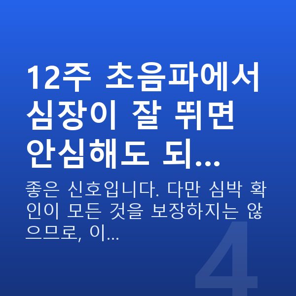 임신 12주차 초음파 12주 초음파에서 심장이 잘 뛰면 안심해도 되…