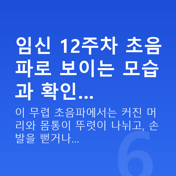 임신 12주차 초음파 임신 12주차 초음파로 보이는 모습과 확인…