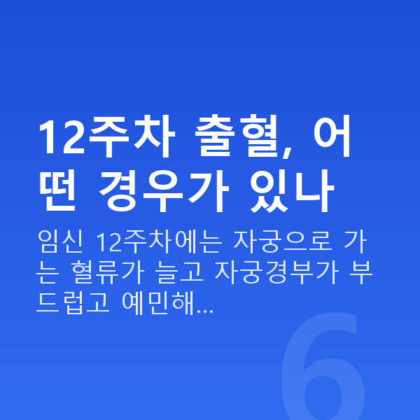 임신 12주차 출혈 12주차 출혈, 어떤 경우가 있나