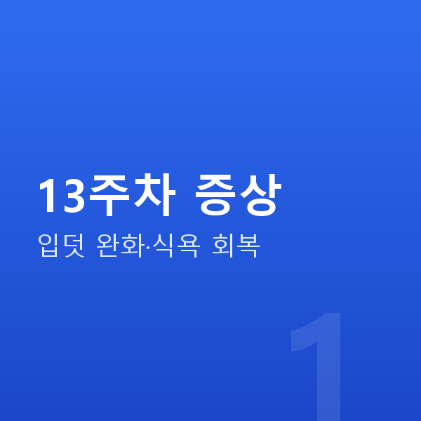 임신 13주차 13주차 증상