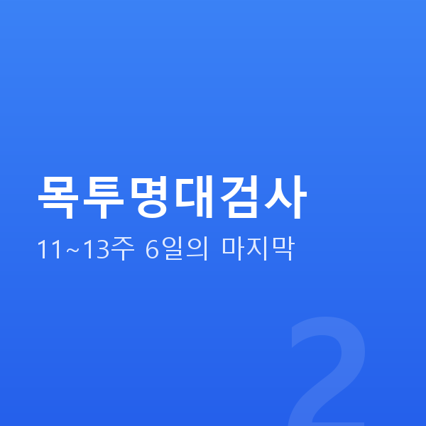 임신 13주차 목투명대검사