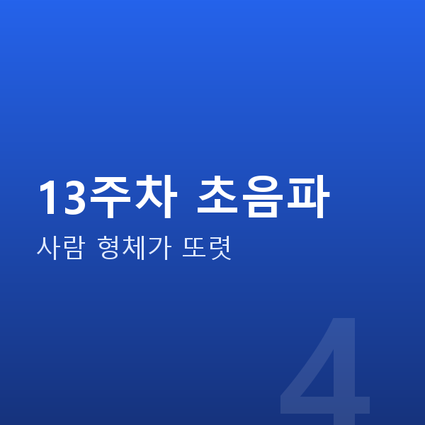 임신 13주차 13주차 초음파