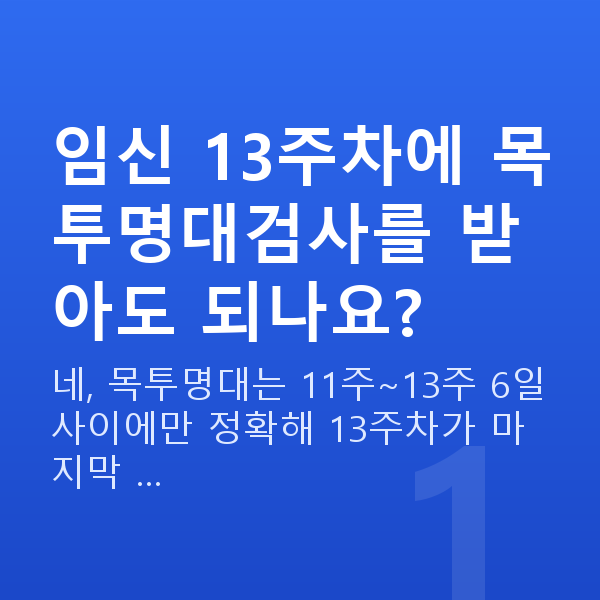 임신 13주차 목투명대 임신 13주차에 목투명대검사를 받아도 되나요?