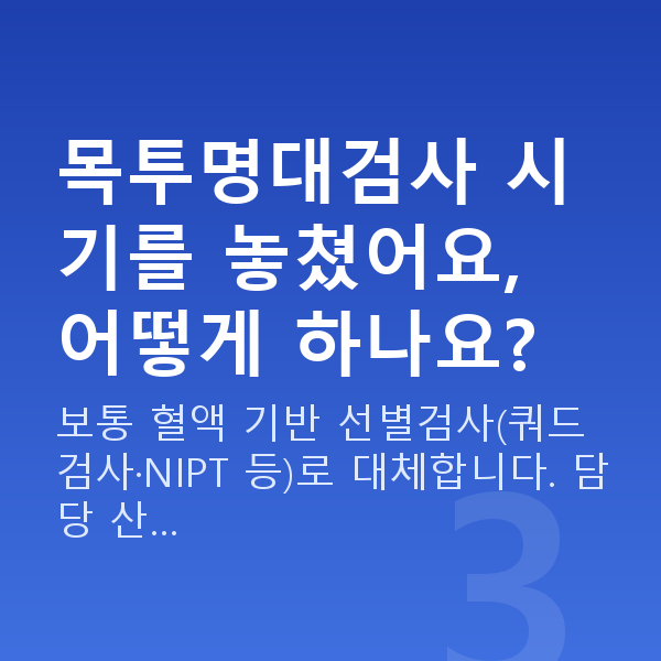 임신 13주차 목투명대 목투명대검사 시기를 놓쳤어요, 어떻게 하나요?