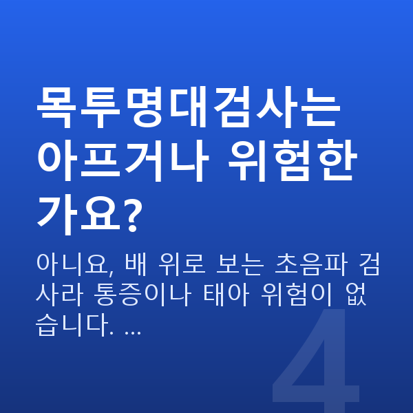 임신 13주차 목투명대 목투명대검사는 아프거나 위험한가요?