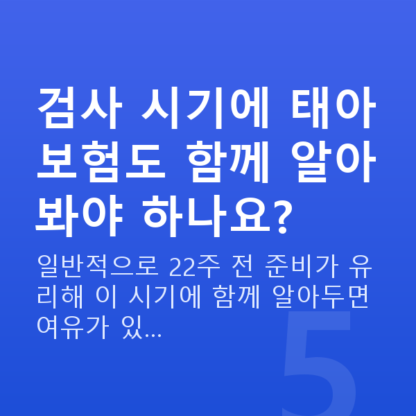임신 13주차 목투명대 검사 시기에 태아보험도 함께 알아봐야 하나요?