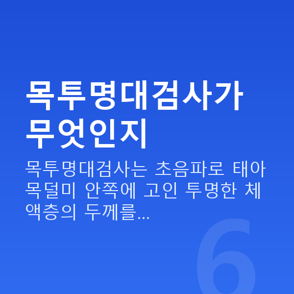 임신 13주차 목투명대 목투명대검사가 무엇인지