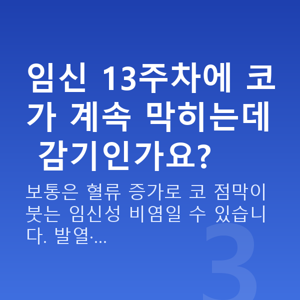 임신 13주차 증상 임신 13주차에 코가 계속 막히는데 감기인가요?