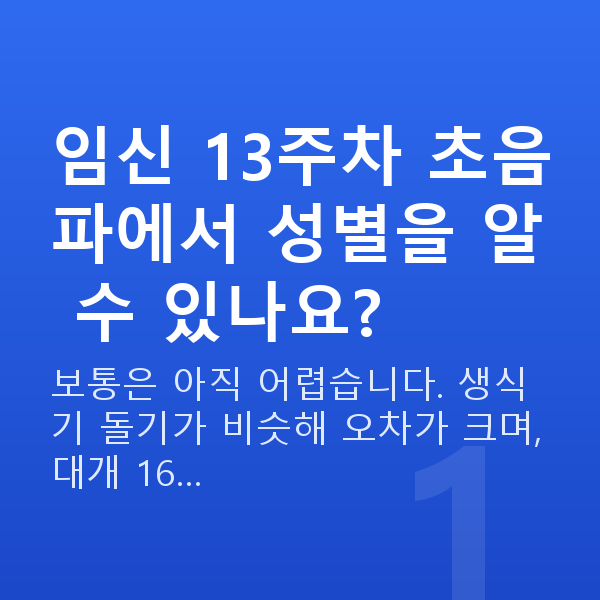 임신 13주차 초음파 임신 13주차 초음파에서 성별을 알 수 있나요?