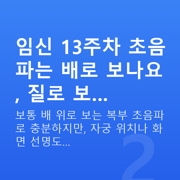 임신 13주차 초음파 임신 13주차 초음파는 배로 보나요, 질로 보…