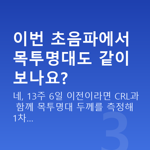 임신 13주차 초음파 이번 초음파에서 목투명대도 같이 보나요?