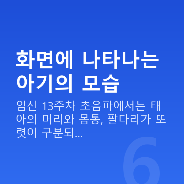 임신 13주차 초음파 화면에 나타나는 아기의 모습
