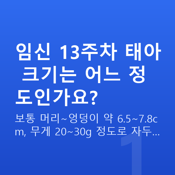 임신 13주차 태아 크기 임신 13주차 태아 크기는 어느 정도인가요?
