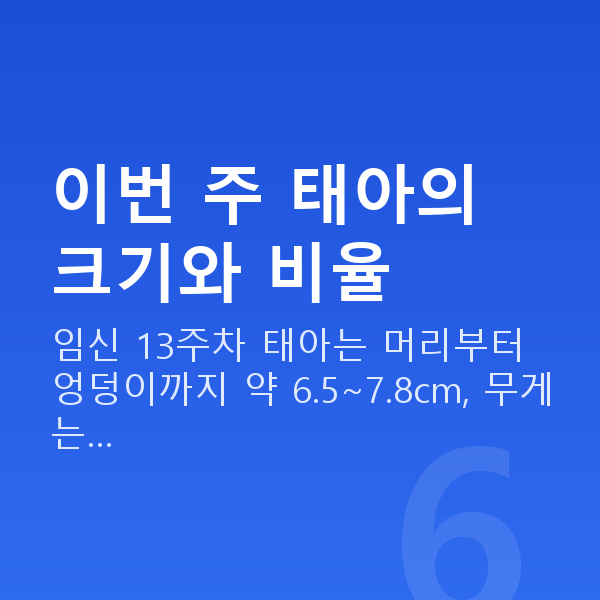 임신 13주차 태아 크기 이번 주 태아의 크기와 비율
