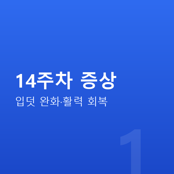 임신 14주차 14주차 증상