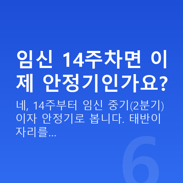 임신 14주차 임신 14주차면 이제 안정기인가요?