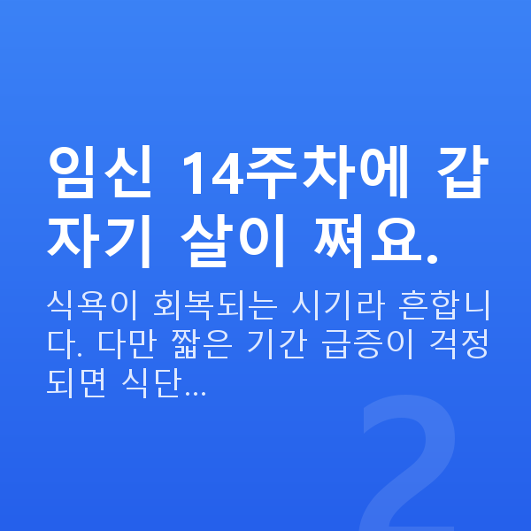 임신 14주차 몸무게 임신 14주차에 갑자기 살이 쪄요.