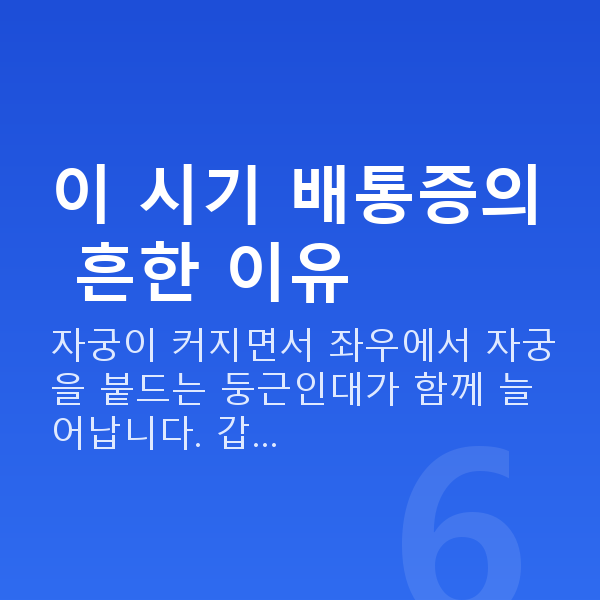 임신 14주차 배통증 이 시기 배통증의 흔한 이유
