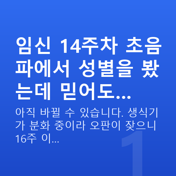 임신 14주차 성별 임신 14주차 초음파에서 성별을 봤는데 믿어도…