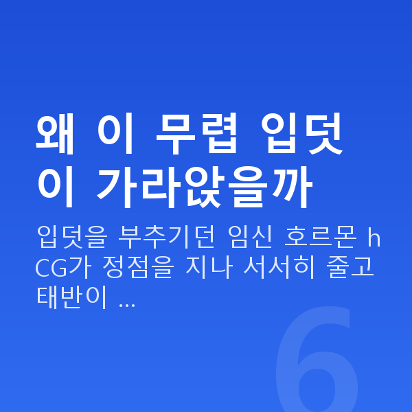 임신 14주차 입덧 왜 이 무렵 입덧이 가라앉을까