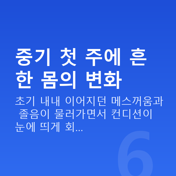 임신 14주차 증상 중기 첫 주에 흔한 몸의 변화