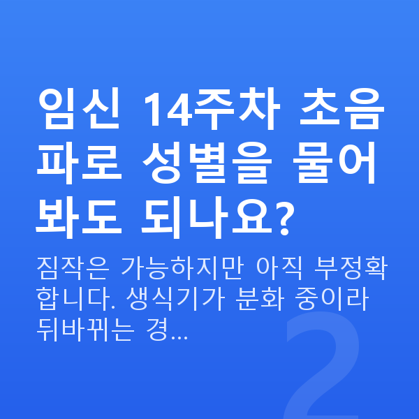 임신 14주차 초음파 임신 14주차 초음파로 성별을 물어봐도 되나요?