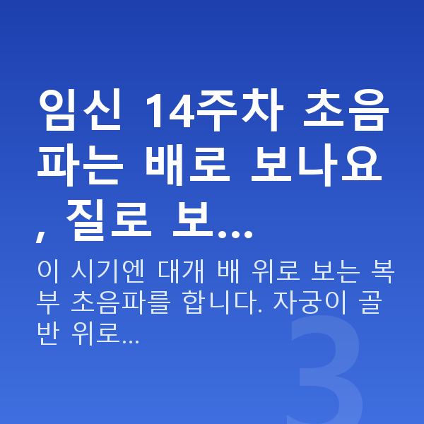 임신 14주차 초음파 임신 14주차 초음파는 배로 보나요, 질로 보…
