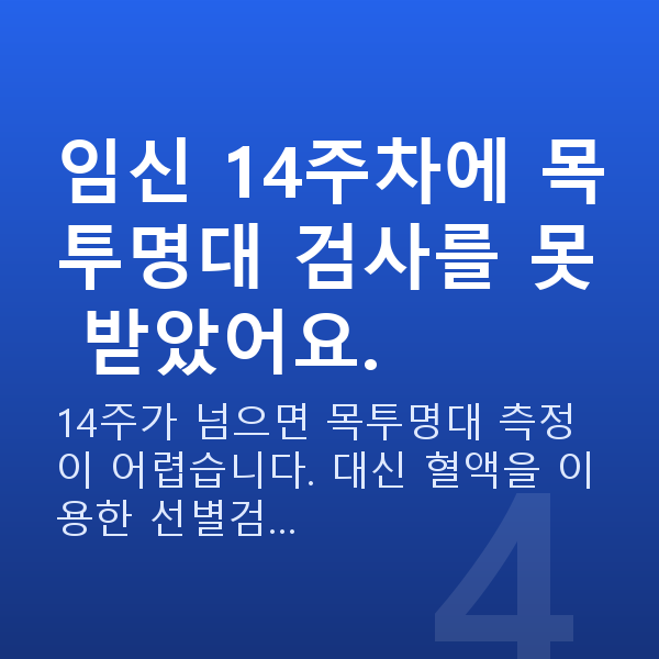 임신 14주차 초음파 임신 14주차에 목투명대 검사를 못 받았어요.