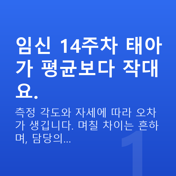 임신 14주차 태아 크기 임신 14주차 태아가 평균보다 작대요.