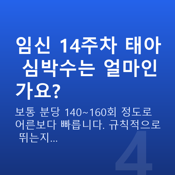 임신 14주차 태아 크기 임신 14주차 태아 심박수는 얼마인가요?