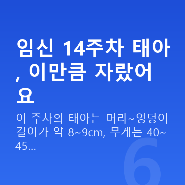 임신 14주차 태아 크기 임신 14주차 태아, 이만큼 자랐어요