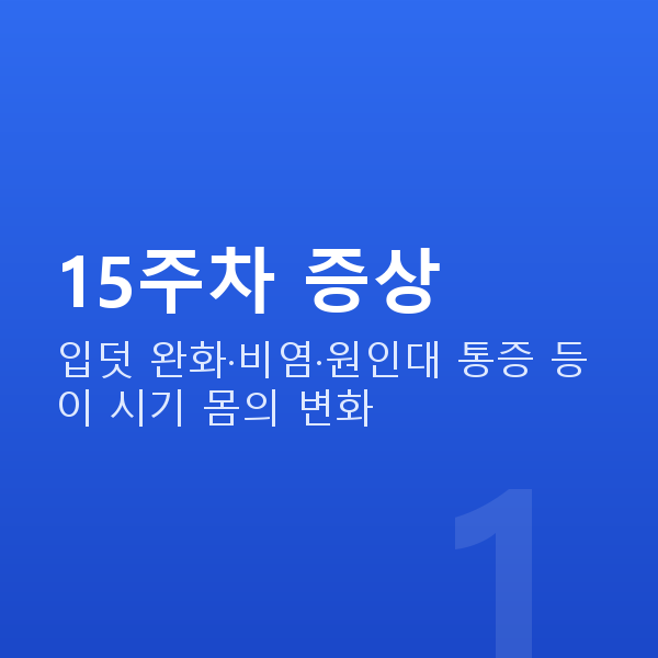 임신 15주차 15주차 증상