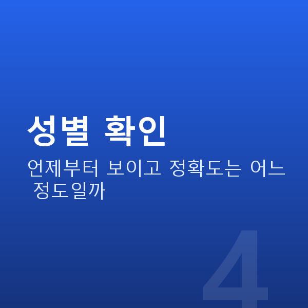 임신 15주차 성별 확인