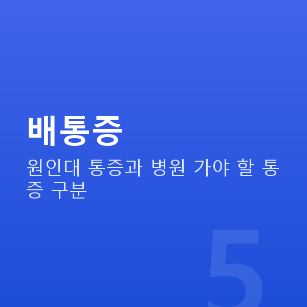 임신 15주차 배통증