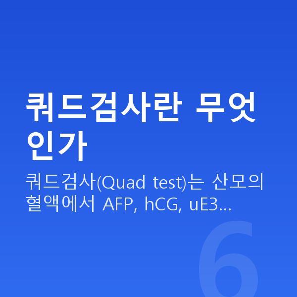 임신 15주차 기형아검사 쿼드검사란 무엇인가