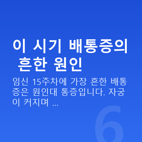 임신 15주차 배통증 이 시기 배통증의 흔한 원인